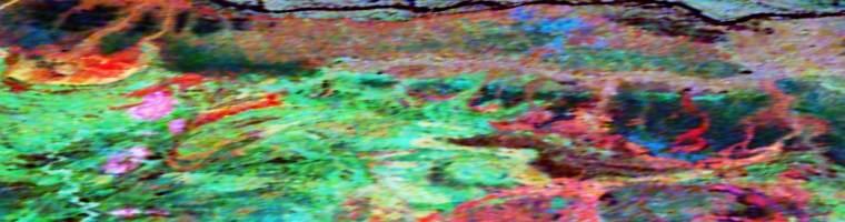 Radiometric Geophysical Services